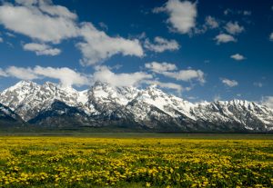 Jackson Hole Landscape Photography