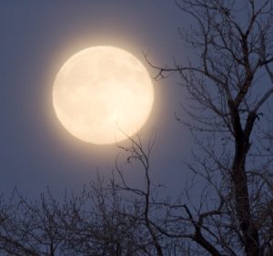 November's Hunter's Moon - Jackson Hole