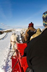 Spring Creek Ranch Sleigh Ride