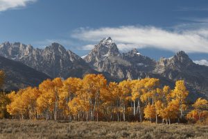 fall arts festival in jackson hole