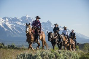 Jackson Hole Horseback Riding