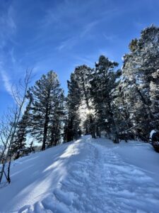 Snowshoe Hike